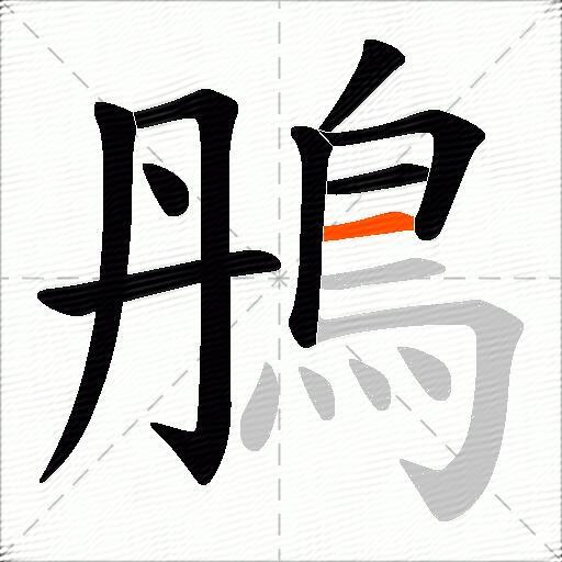 鴅