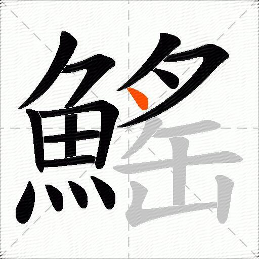 鰩