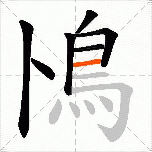 鳪