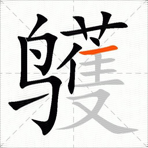 鹱