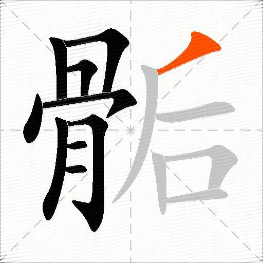骺