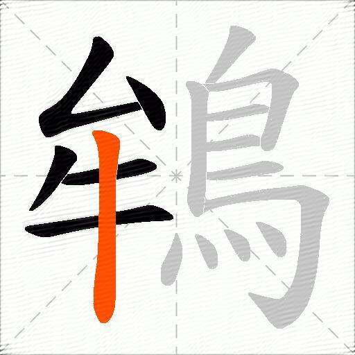 鴾