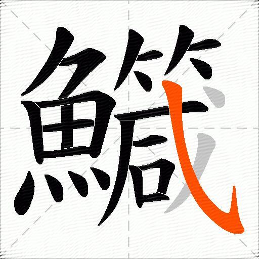 鱵