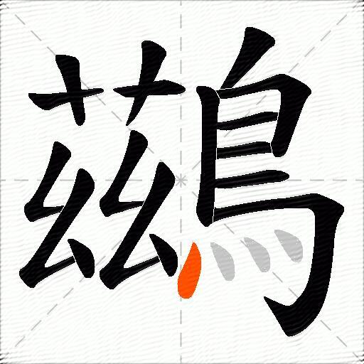 鷀