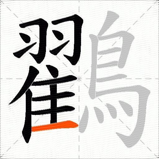 鸐