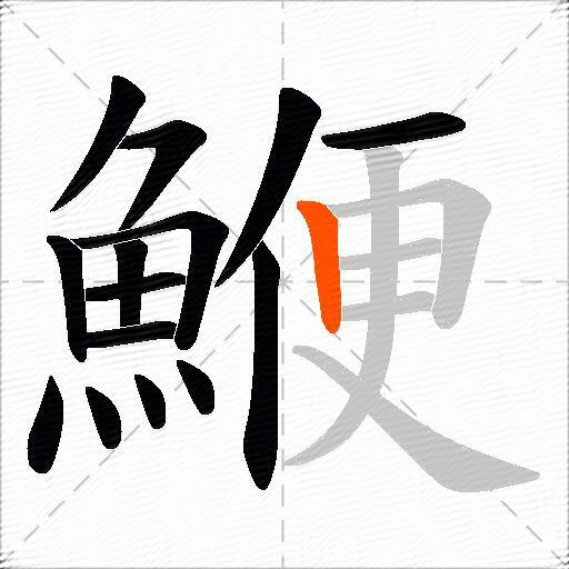鯾