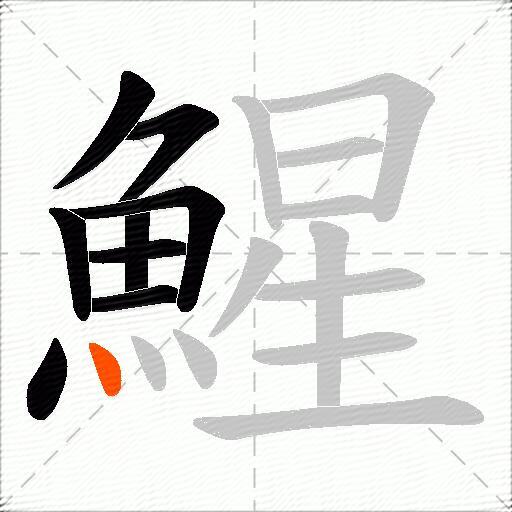 鯹