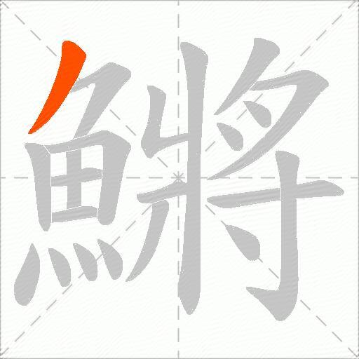 鱂