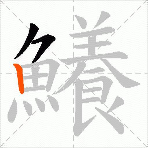鱶