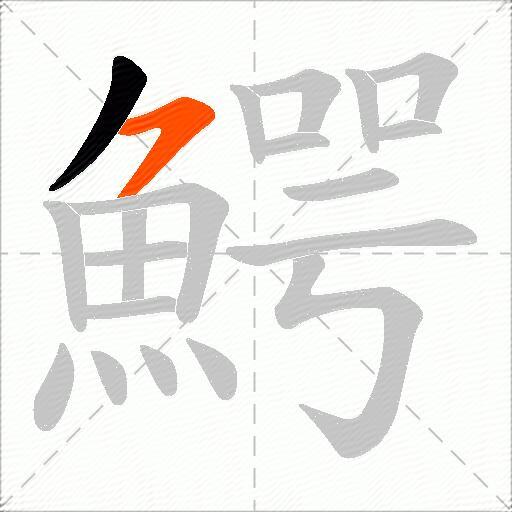 鰐