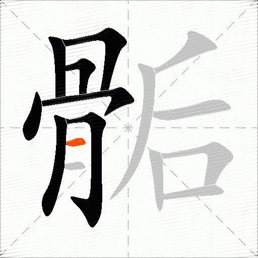 骺