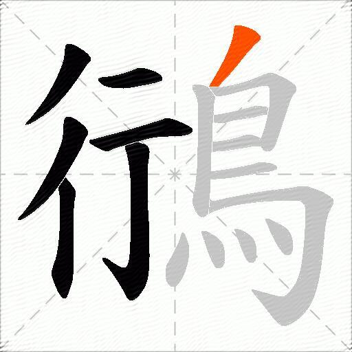鴴