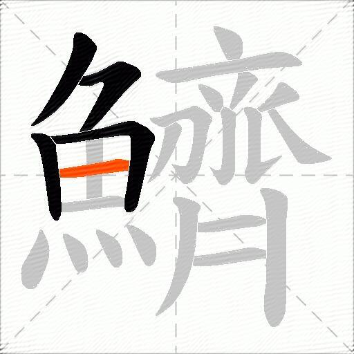 鱭