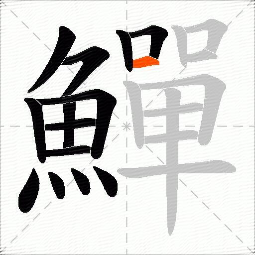 鱓
