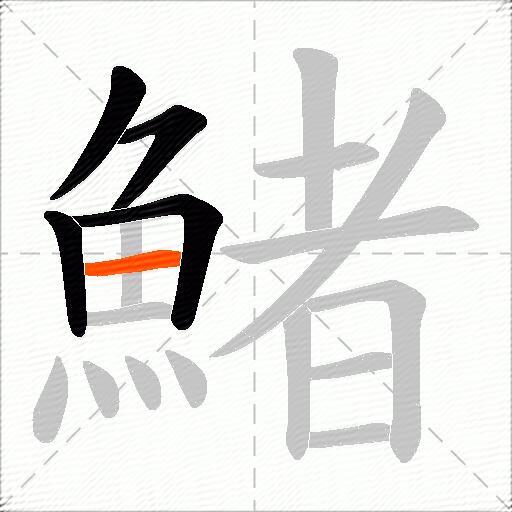 鯺
