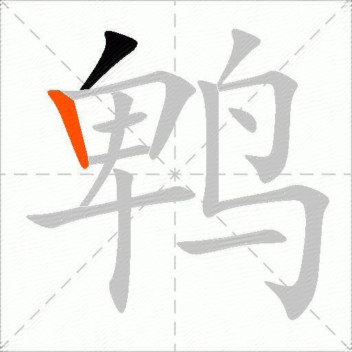鹎