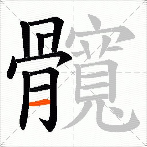髖