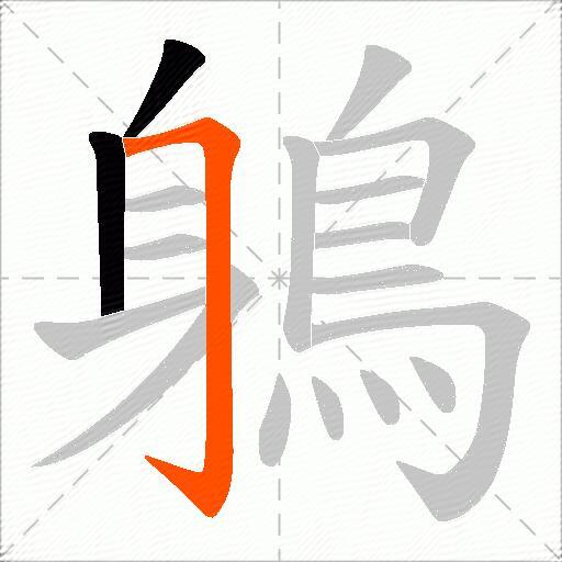 鵢