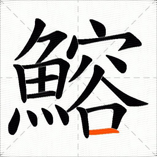 鰫