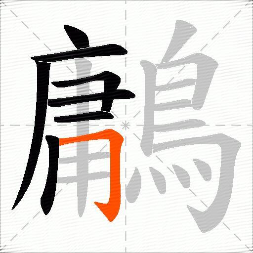 鷛