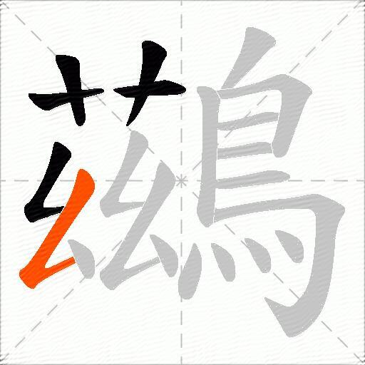 鷀