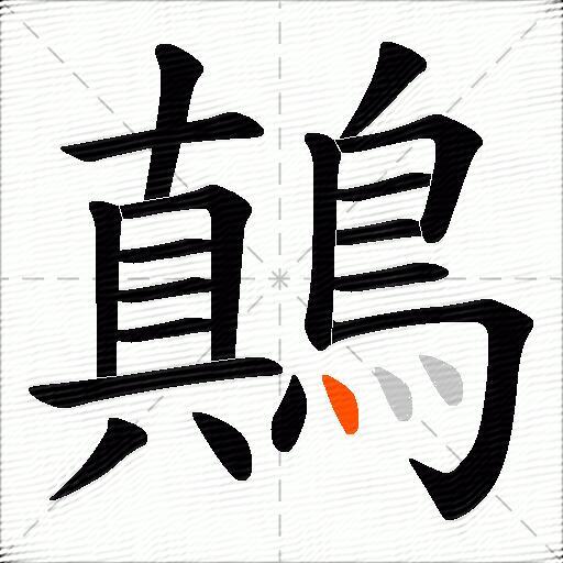 鷏