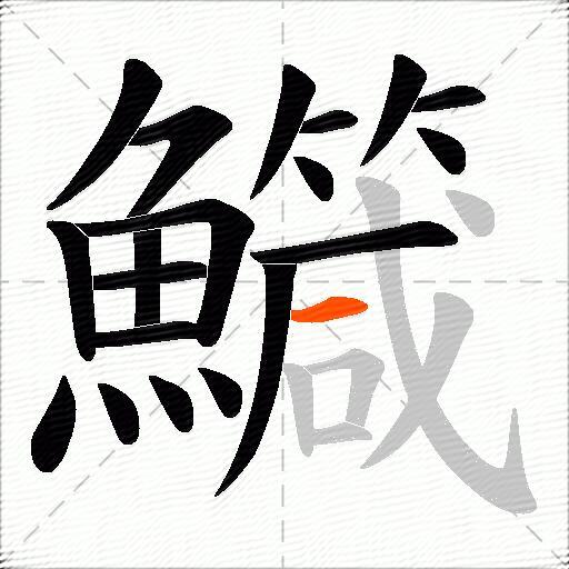 鱵