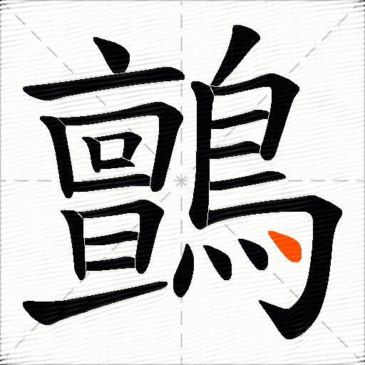鸇