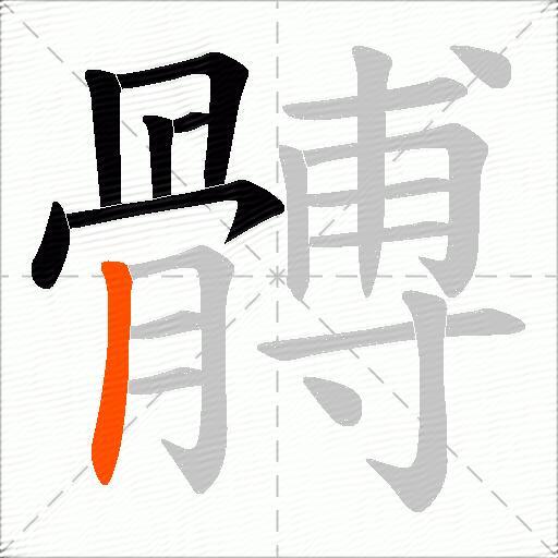 髆