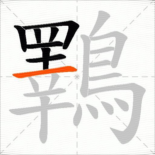 鸅