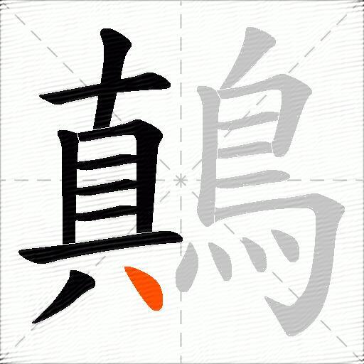 鷏