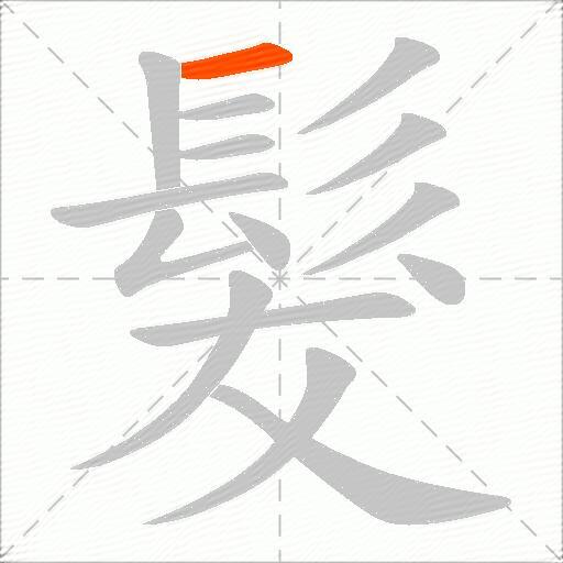 髮