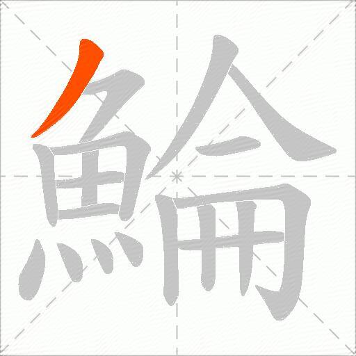 鯩