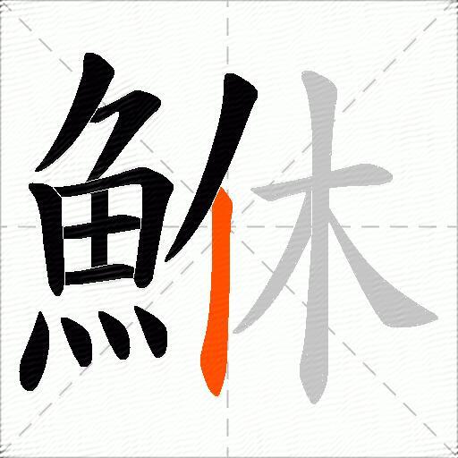 鮴
