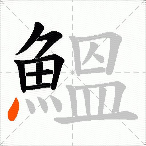 鰮
