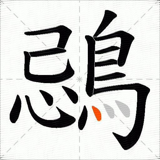 鵋