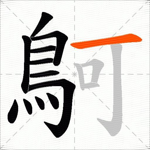 鴚