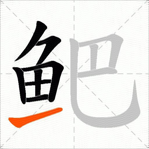 鲃
