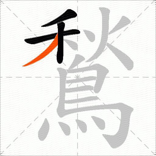 鶖