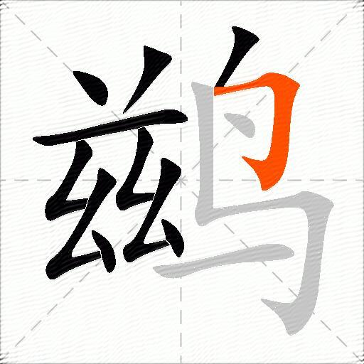 鹚