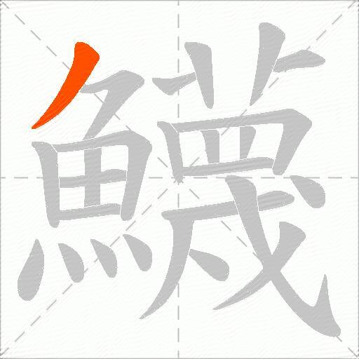 鱴