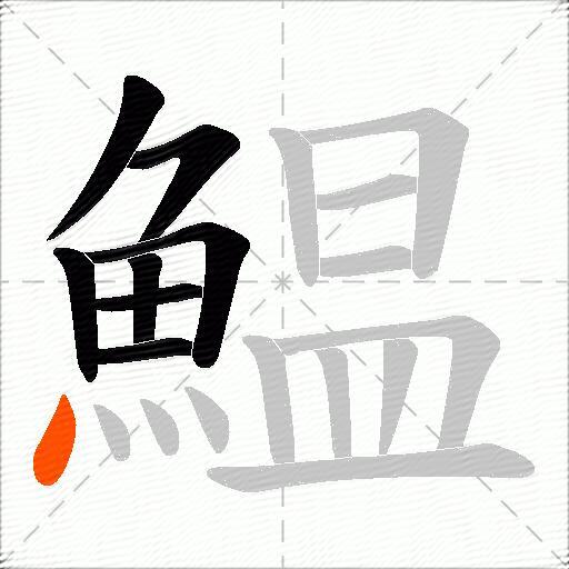 鰛
