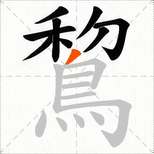 鵹