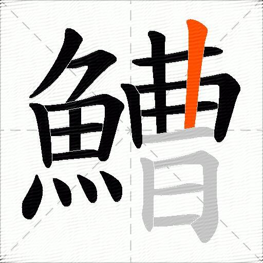 鰽
