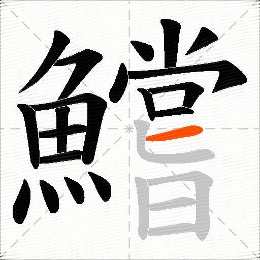 鱨