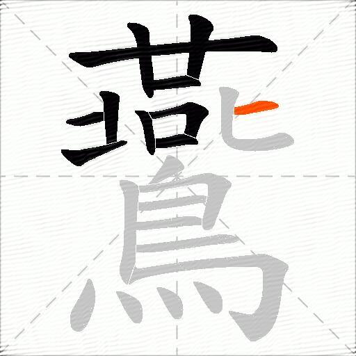 鷰