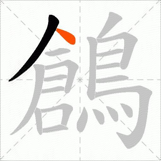 鶬