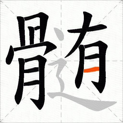 髄