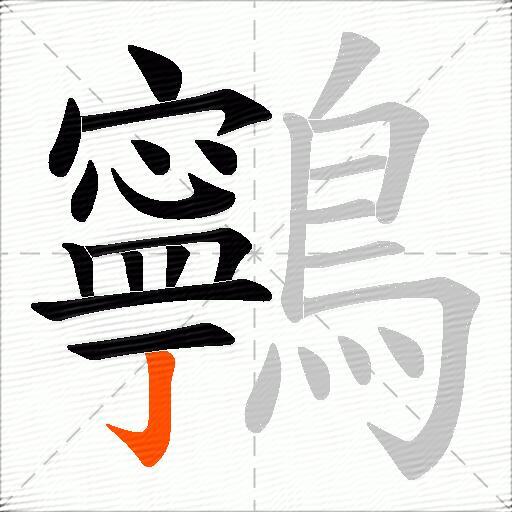 鸋