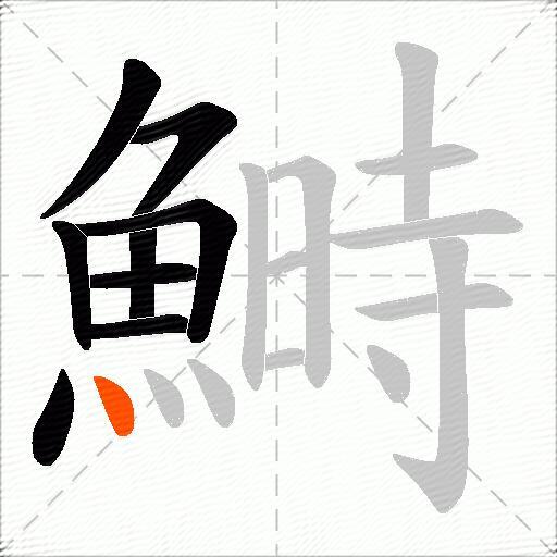 鰣